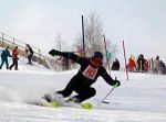 Подробнее: Открытое первенство района по горным лыжам и сноуборду